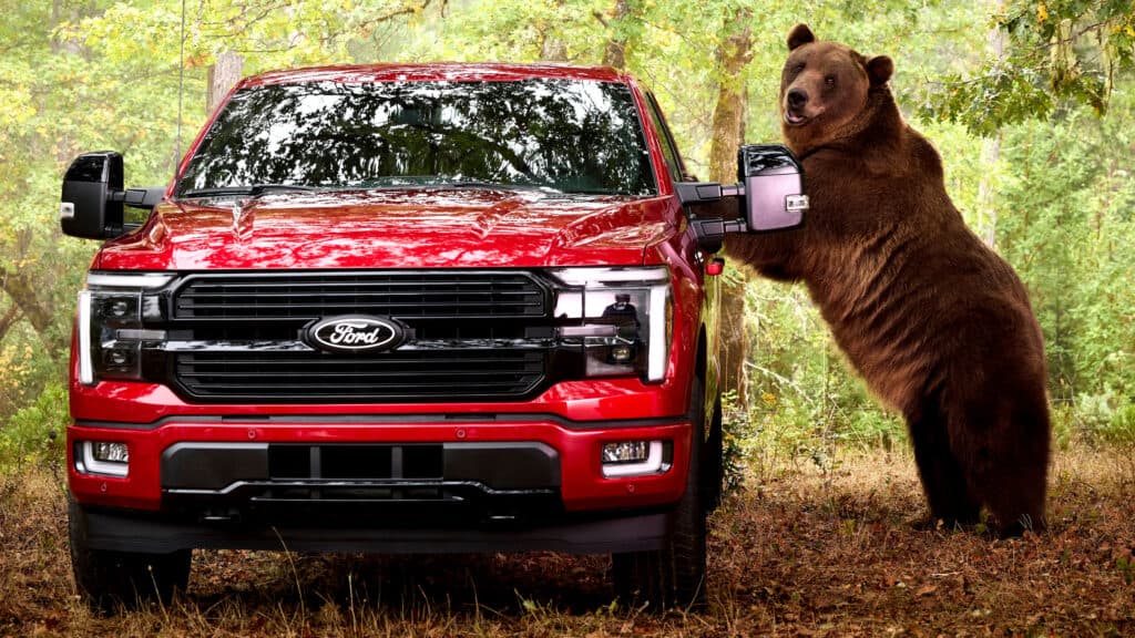 Ford Hired An 800-Pound Bear To Break Into Its New F-150