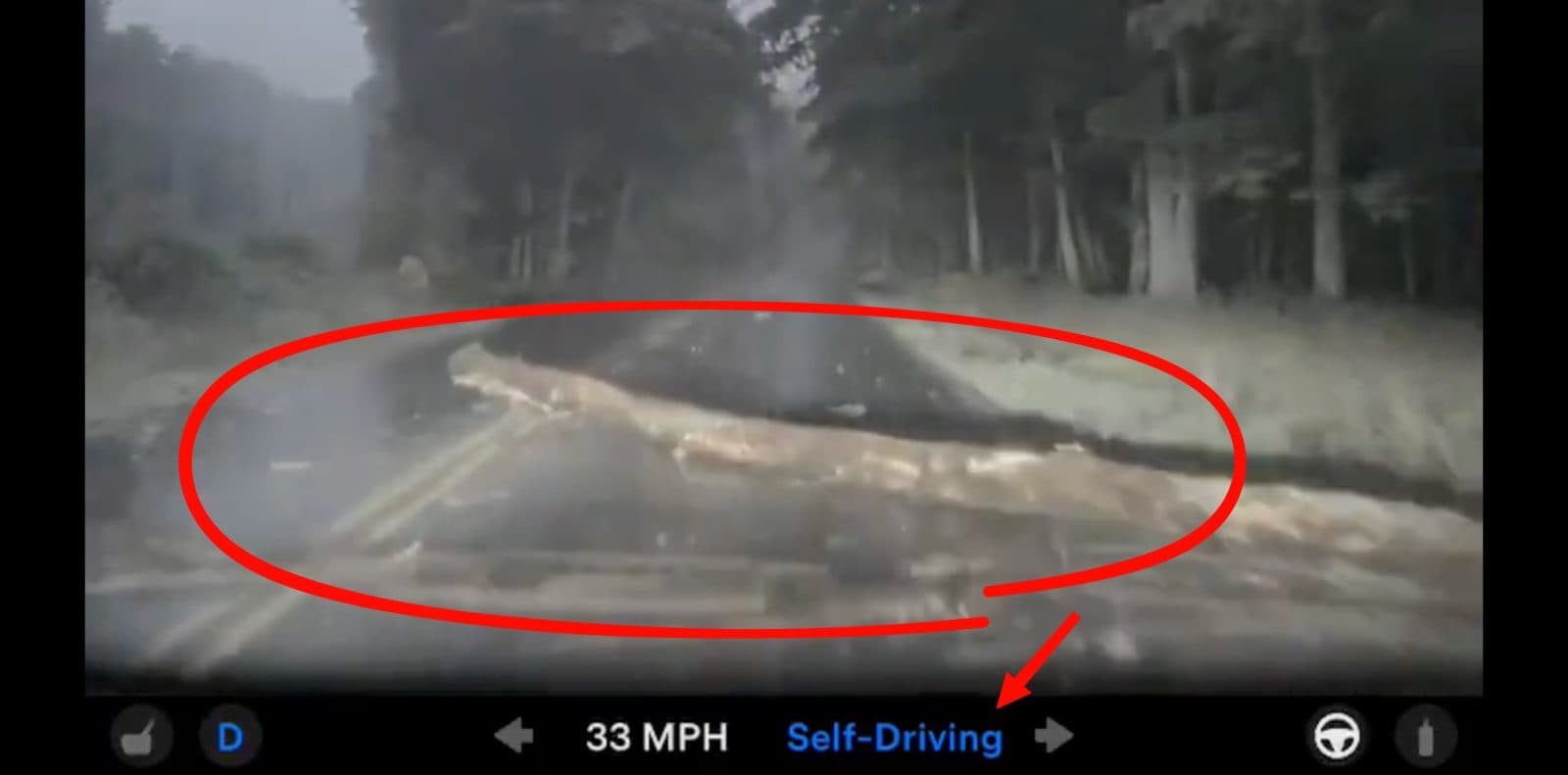 Watch Tesla FSD v14 Lite drive over a giant log without stopping