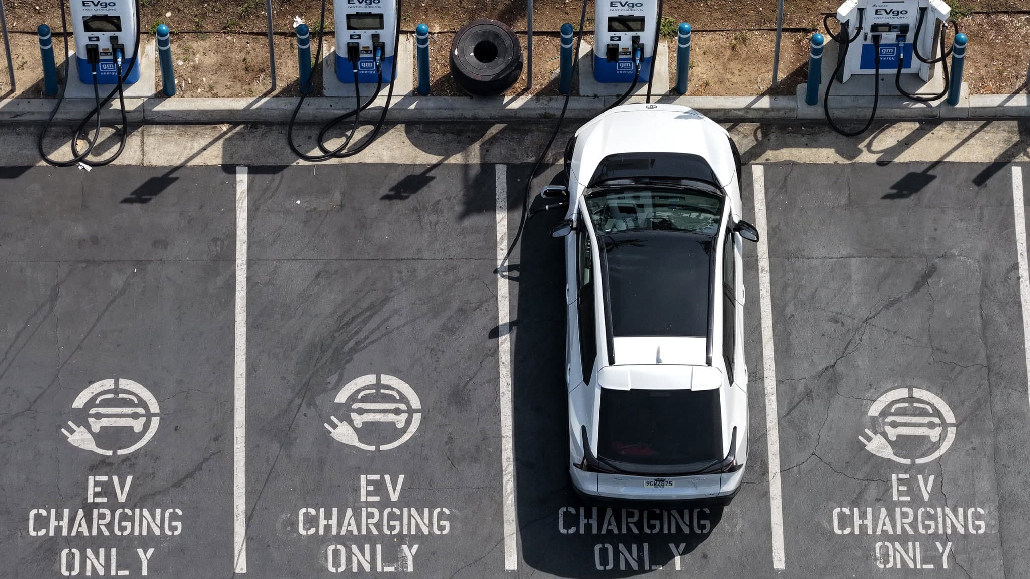 Global EV Sales Are Still Rising, Even Without America’s Help: TDS