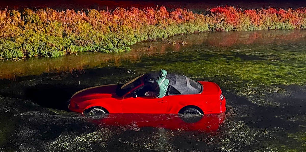 Ford Mustang Flies Into Pond, Driver Falls Asleep, Then Blows 0.25% BAC Once Awake: Cops